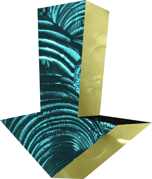 Illustrasjonsfigur 24