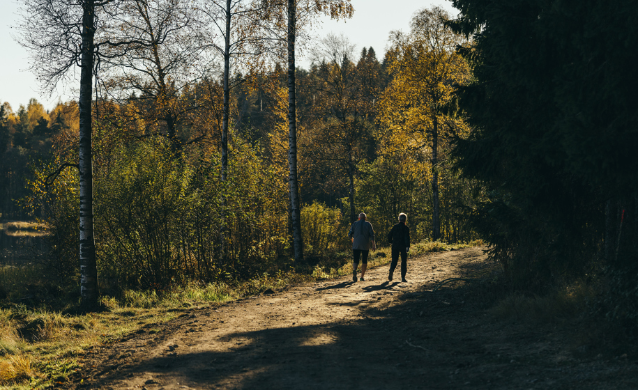 Menneske på sti i skog naturbilder 2