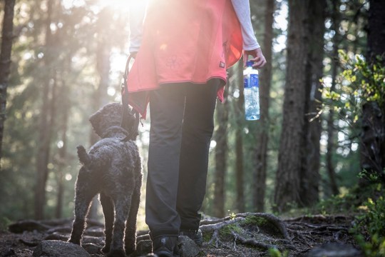 Bilde til Four things you may not know about plastic bottles