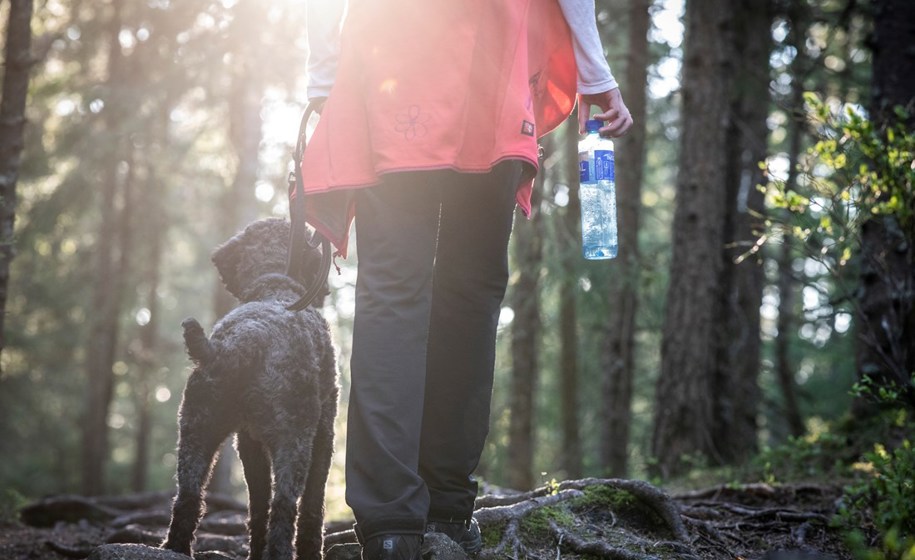 Bilde til Four things you may not know about plastic bottles