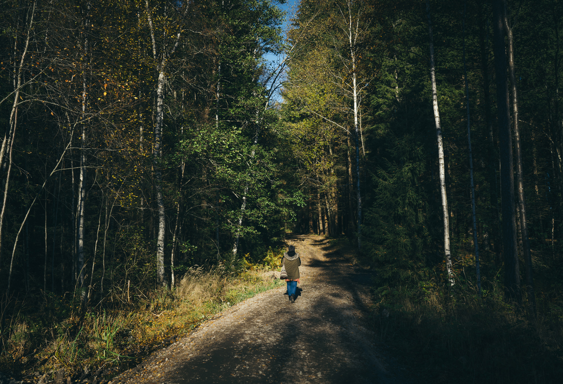 Menneske på sti i skog naturbilder 1
