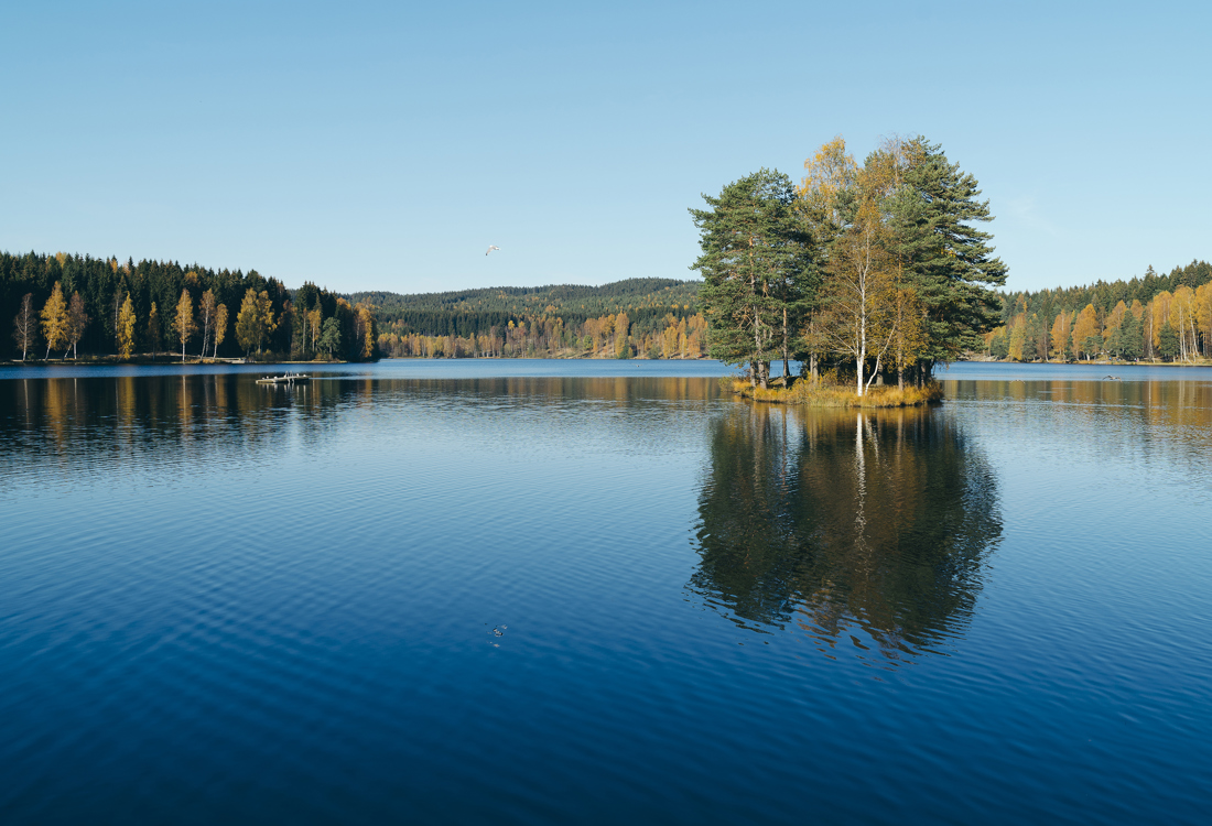 Innsjø naturbilder 1